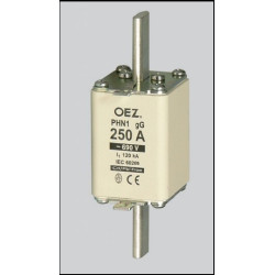 Pojistka PNA 1    20A   GG...