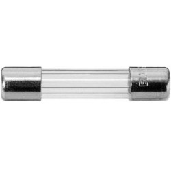 Pojistka trub. F10,0 A/ 60V...