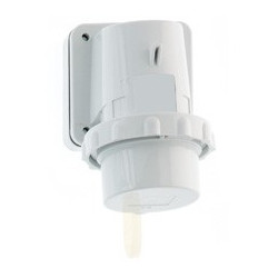 BALS 24013  (IP 3253)...
